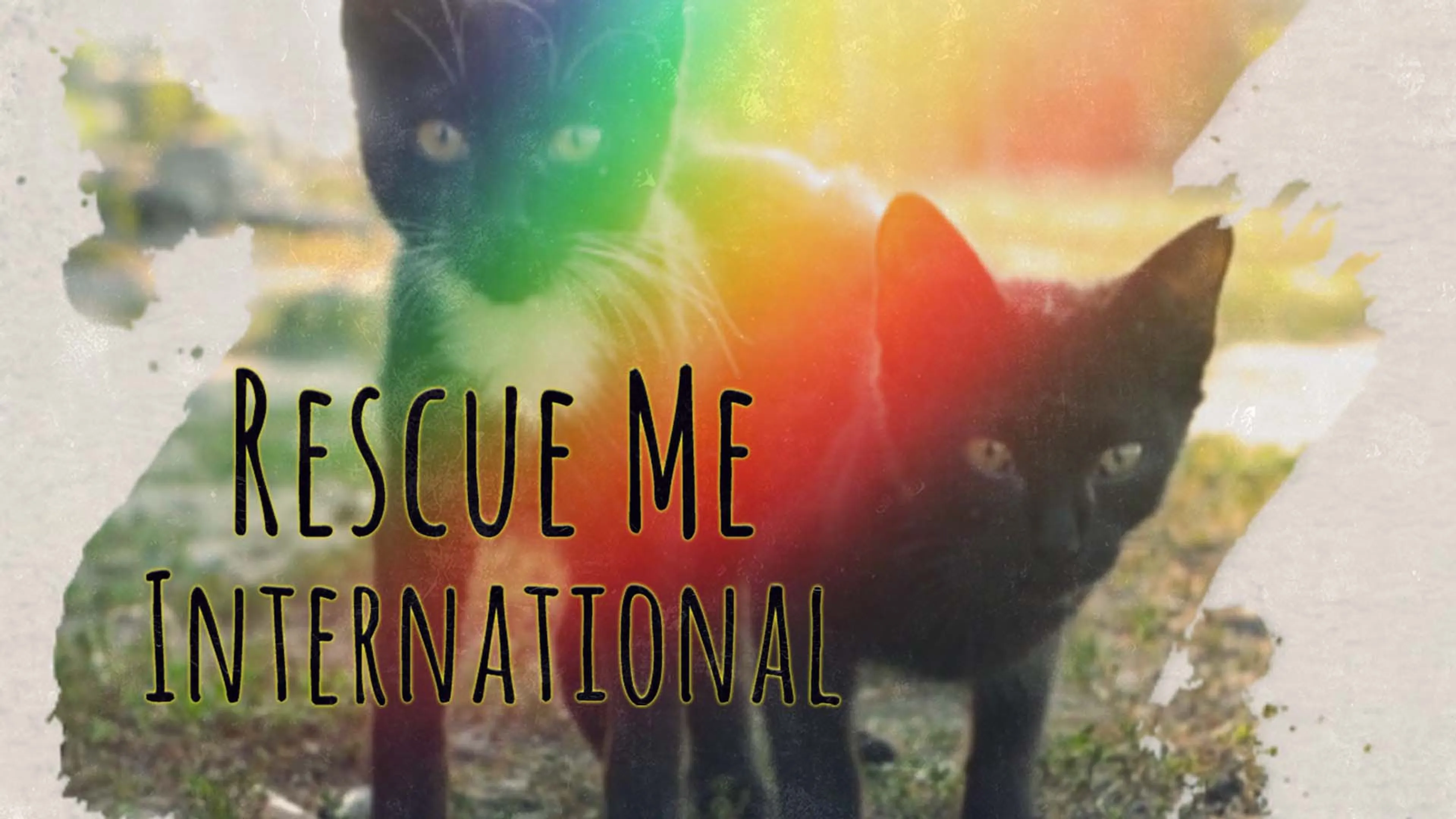 Rescue Me: International poster